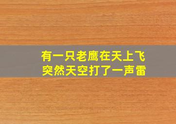 有一只老鹰在天上飞 突然天空打了一声雷